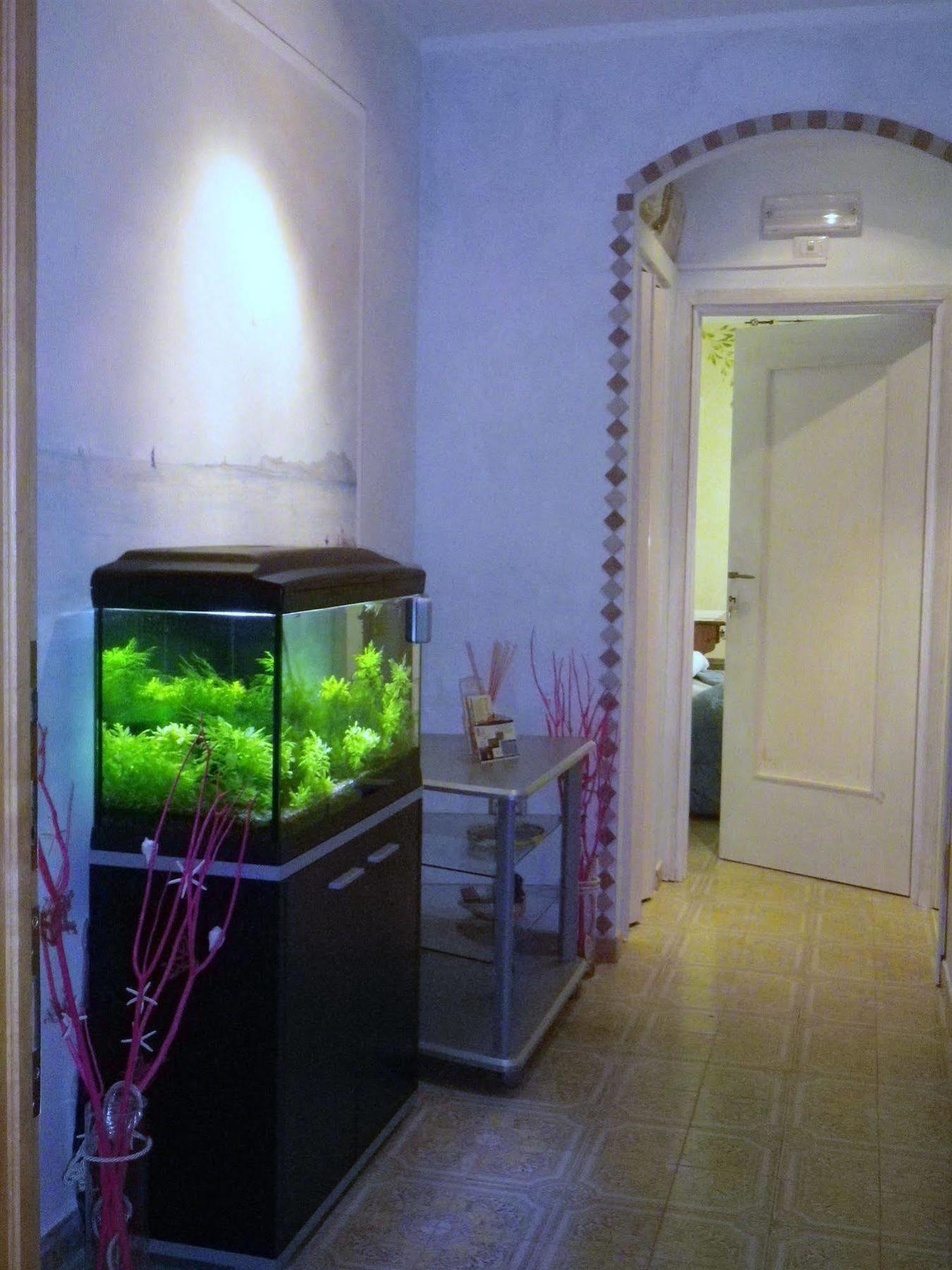 אלגהרו Elisart Guest House מראה חיצוני תמונה